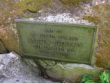 image of grave number 45645